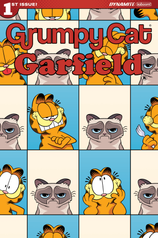 Imagen de apoyo de Grumpy Cat/Garfield #1