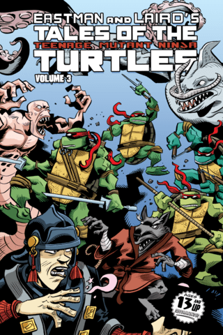 Imagen de apoyo de Teenage Mutant Ninja Turtles: Tales of TMNT Vol #3