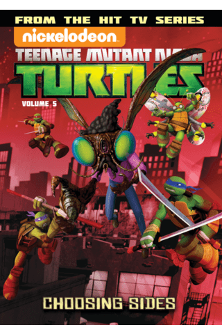 Imagen de apoyo de  Teenage Mutant Ninja Turtles: Animated Vol 5 Choosing Sides #0