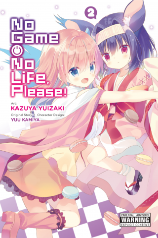 Imagen de apoyo de No Game No Life, Please!, Vol 2