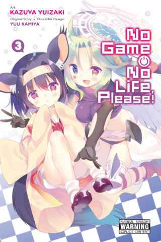 Imagen de apoyo de  No Game No Life, Please!, Vol 3