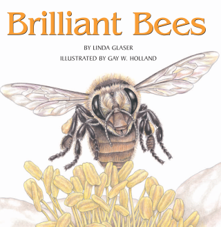 Imagen de apoyo de  Brilliant Bees