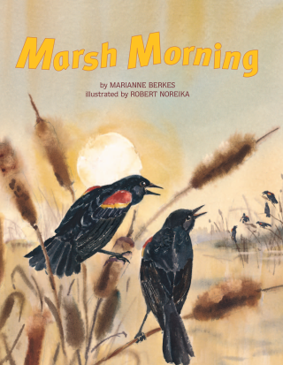Imagen de apoyo de  Marsh Morning
