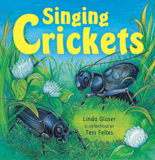 Imagen de apoyo de Singing Crickets