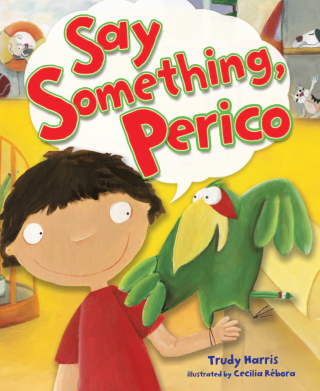 Imagen de apoyo de Say Something, Perico
