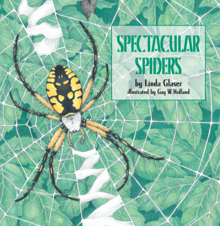Imagen de apoyo de  Spectacular Spiders