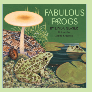 Imagen de apoyo de  Fabulous Frogs