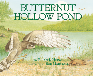 Imagen de apoyo de Butternut Hollow Pond