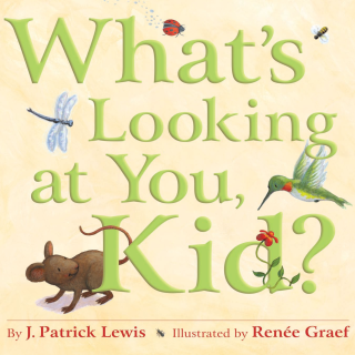 Imagen de apoyo de  What's Looking At You Kid?