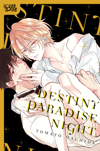Imagen de apoyo de  Destiny Paradise Night