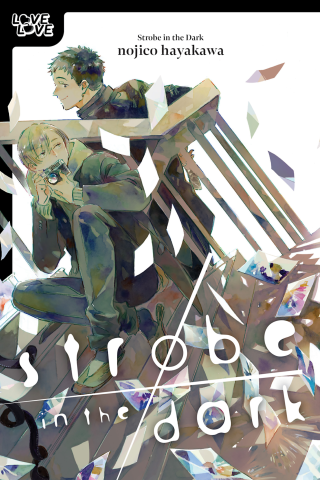 Imagen de apoyo de  Strobe in the Dark