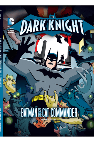 Imagen de apoyo de Dark Knight: Batman vs Catwoman