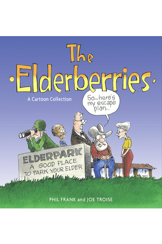 Imagen de apoyo de  The Elderberries