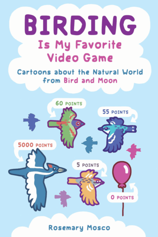 Imagen de apoyo de Birding Is My Favorite Video Game