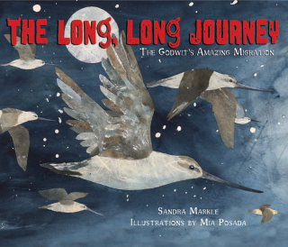 Imagen de apoyo de  The Long, Long Journey