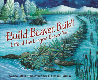 Imagen de apoyo de Build, Beaver, Build!