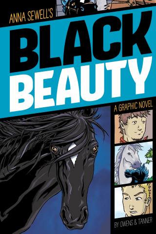 Imagen de apoyo de  Black Beauty