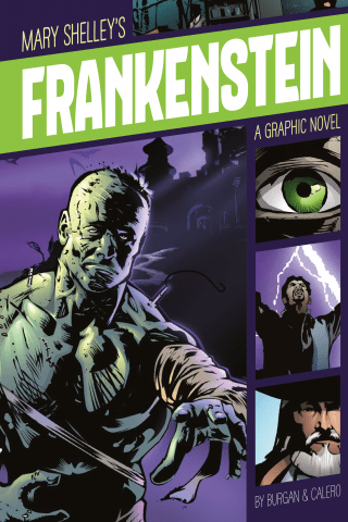Imagen de apoyo de  Frankenstein