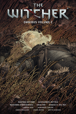 Imagen de apoyo de  The Witcher Omnibus Volume 2