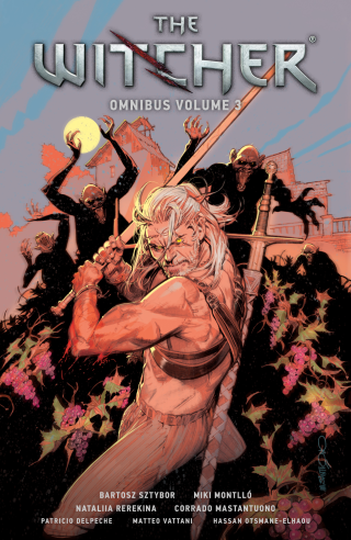 Imagen de apoyo de  The Witcher Omnibus Volume 3