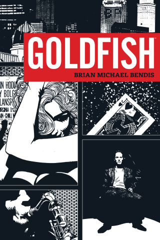 Imagen de apoyo de Goldfish