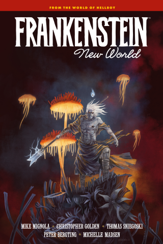 Imagen de apoyo de  Frankenstein: New World