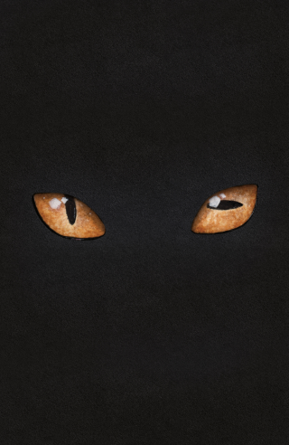 Imagen de apoyo de Hairball