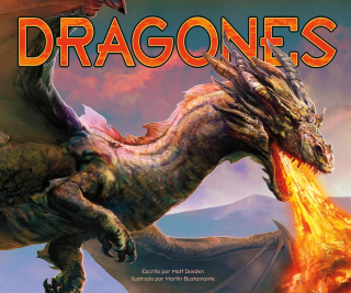 Imagen de apoyo de Dragones