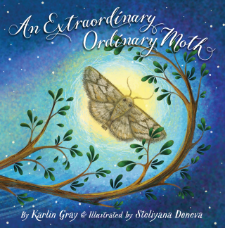 Imagen de apoyo de  An Extraordinary Ordinary Moth