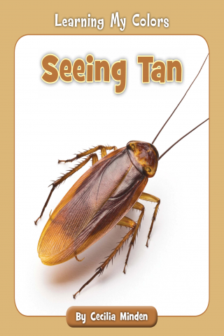 Imagen de apoyo de Learning My Colors: Seeing Tan