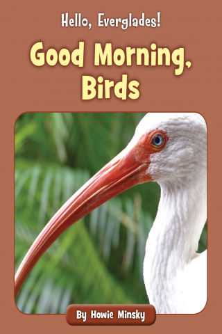 Imagen de apoyo de  Hello, Everglades!: Good Morning, Birds