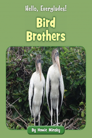 Imagen de apoyo de  Hello, Everglades!: Bird Brothers