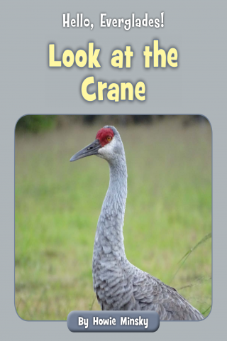 Imagen de apoyo de  Hello, Everglades!: Look at the Crane