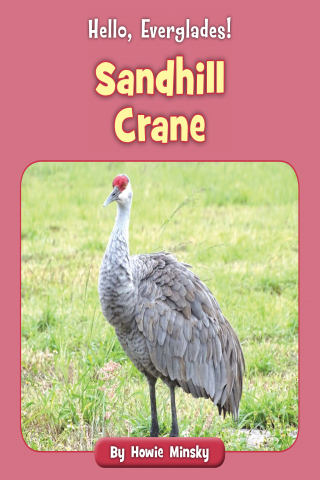 Imagen de apoyo de Hello, Everglades!: Sandhill Crane