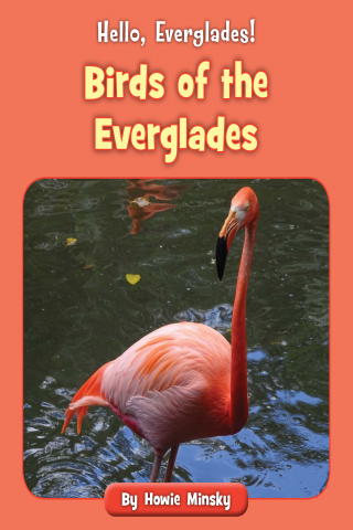 Imagen de apoyo de  Hello, Everglades!: Birds of the Everglades