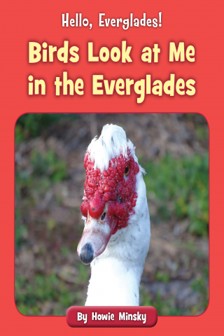 Imagen de apoyo de Hello, Everglades!: Birds Look at Me in the Everglades