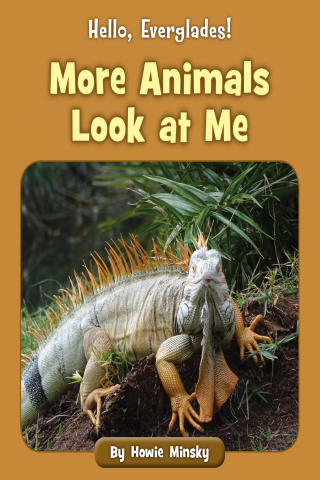 Imagen de apoyo de Hello, Everglades!: More Animals Look at Me