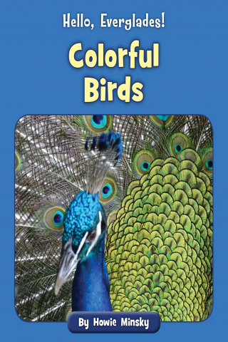Imagen de apoyo de  Hello, Everglades!: Colorful Birds