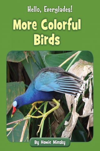 Imagen de apoyo de  Hello, Everglades!: More Colorful Birds