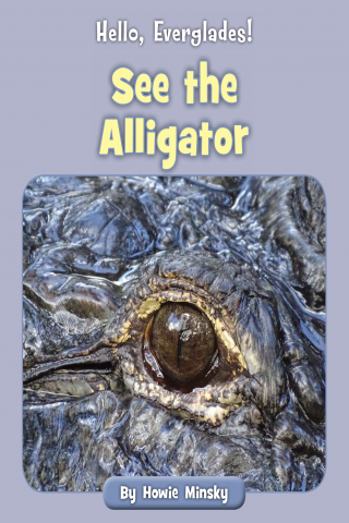 Imagen de apoyo de Hello, Everglades!: See the Alligator