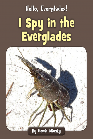 Imagen de apoyo de  Hello, Everglades!: I Spy in the Everglades