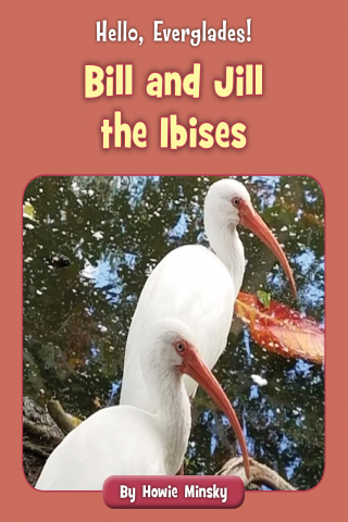 Imagen de apoyo de Hello, Everglades!: Bill and Jill the Ibises