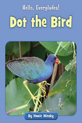 Imagen de apoyo de Hello, Everglades!: Dot the Bird