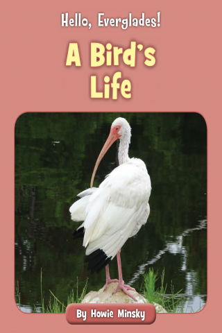 Imagen de apoyo de  Hello, Everglades!: A Bird's Life