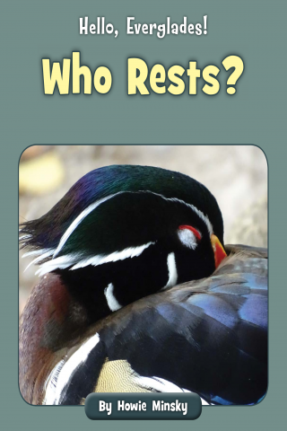 Imagen de apoyo de Hello, Everglades!: Who Rests?