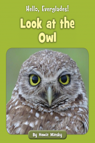 Imagen de apoyo de Hello, Everglades!: Look at the Owl