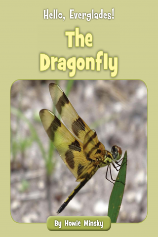 Imagen de apoyo de Hello, Everglades!: The Dragonfly