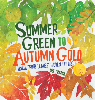 Imagen de apoyo de  Summer Green to Autumn Gold