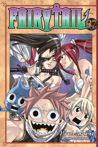Imagen de apoyo de  Fairy Tail 37