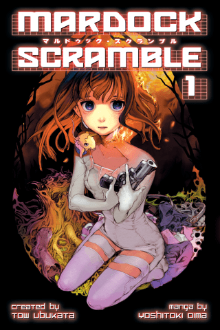 Imagen de apoyo de  Mardock Scramble 1